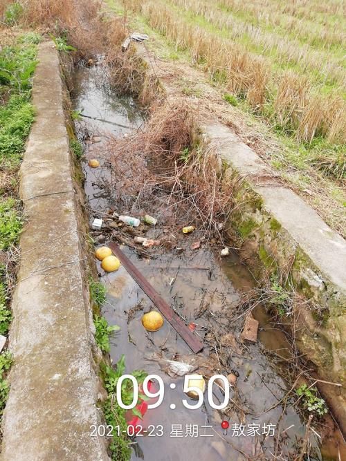 【湖南省怀化市会同县最新疫情数据:寻找同轨迹人员_湖南怀化会同县有封路吗】