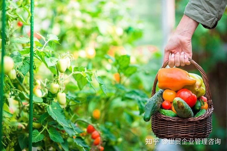 全天候超低价自助下单平台-获取方式分享-知乎推荐一款