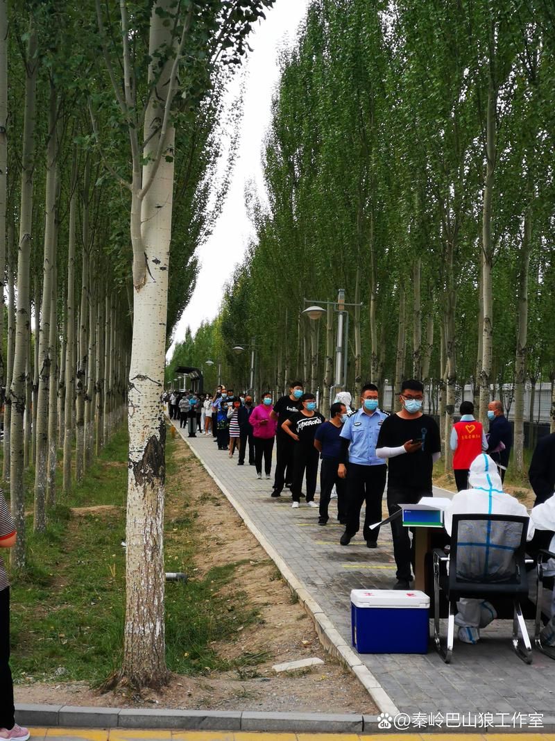 德令哈静默区本土确诊详情_德令哈基本情况