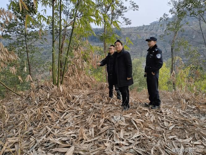 【南溪区今日新增6例死亡病例_南溪区今日新增6例死亡病例分布】