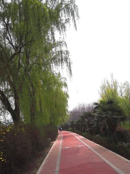 【专家:洛龙区每年或现多个感染高峰_洛龙区现号不】