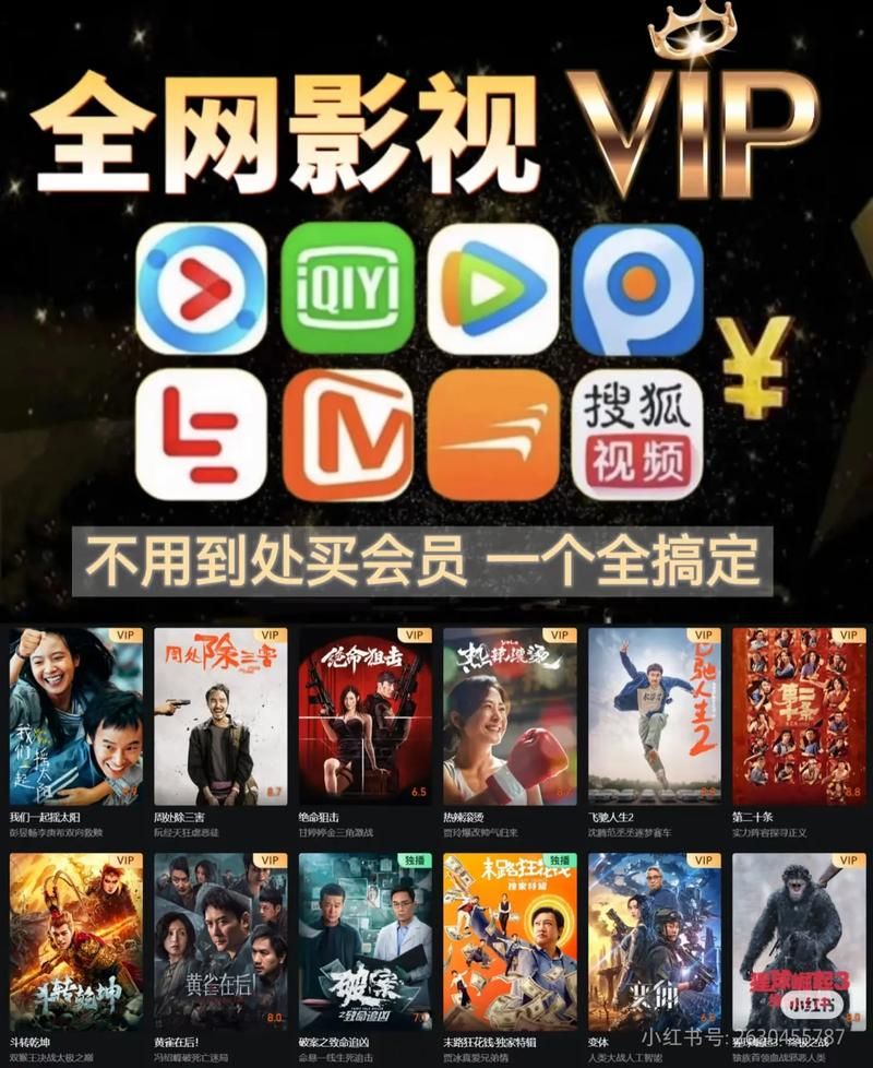 影视会员批发一手货源:真实在线工具自助脚本