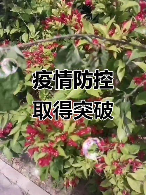 【近2天疫情有望昨日结束_昨天疫情多少】