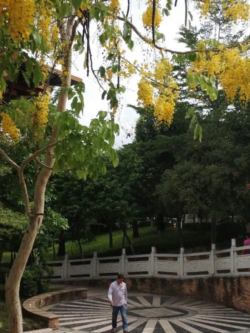 华坪县什么时候可以管控区/华坪县封城了吗