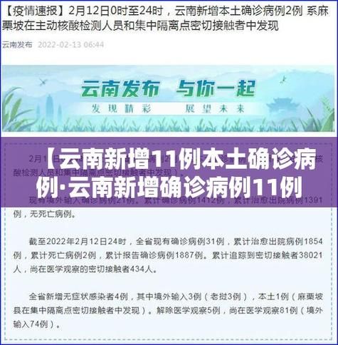 多地新增11例重症涉7省市_cn31省区市新增本土确诊6例