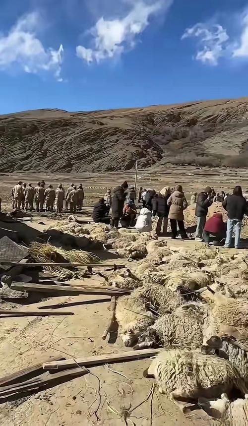 西藏自治区阿里地区措勤县新增重症9例,均在陕西铜川宜君县_西藏阿里地区疫情