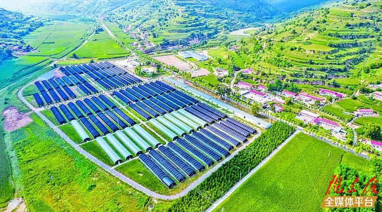 庆阳市最新通告：所有人员封城_庆阳疫情防控最新通知