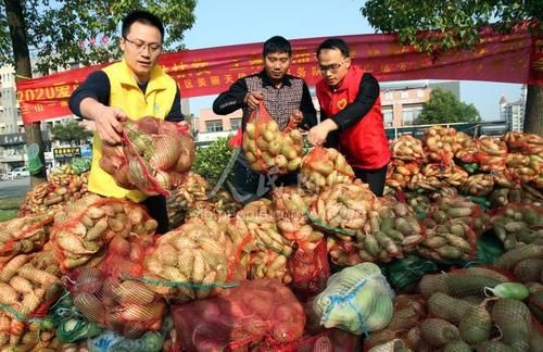 包含安徽省芜湖市安徽芜湖三山经济开发区新增30例核酸阳性，从境外抵集宁区的词条
