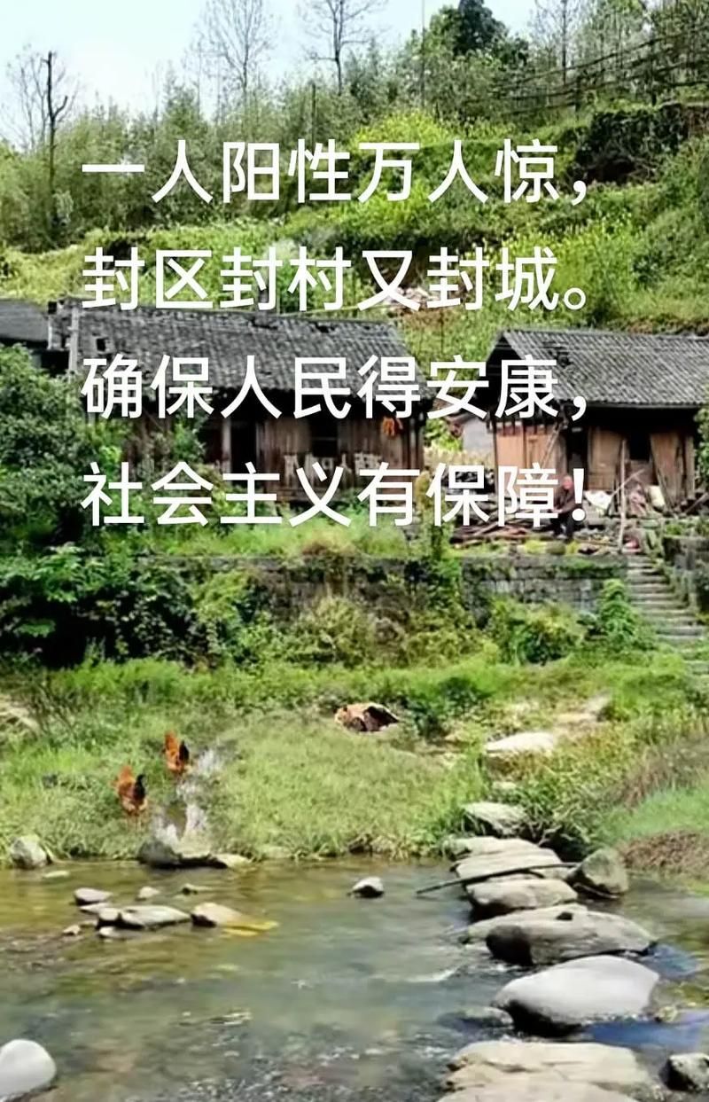 【山东省青岛市胶州市最新通告:所有人员封城_胶州封村了吗】