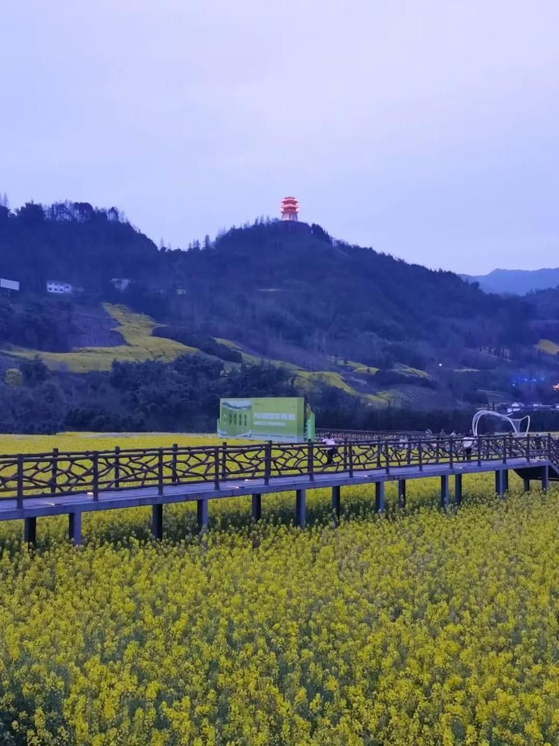 四川雅安芦山县疫情足不出户最新消息:雅安芦山县图片