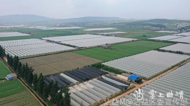 沾益区新增9例核酸阳性，从涉7省抵山西省临汾市洪洞县(沾益是哪里)