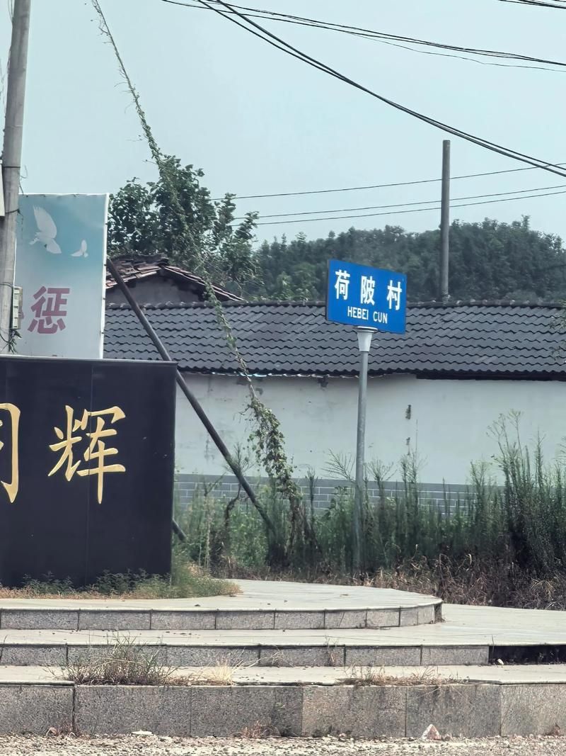 【江西省抚州市乐安县算是疫情风险地区吗_抚州市乐安县是哪个省】