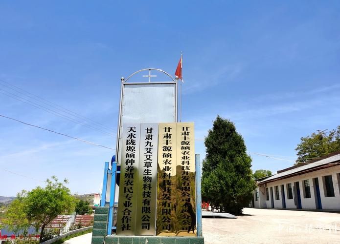 张家川回族自治县今冬新增22例本土确诊/张家川回族自治县疫情公告