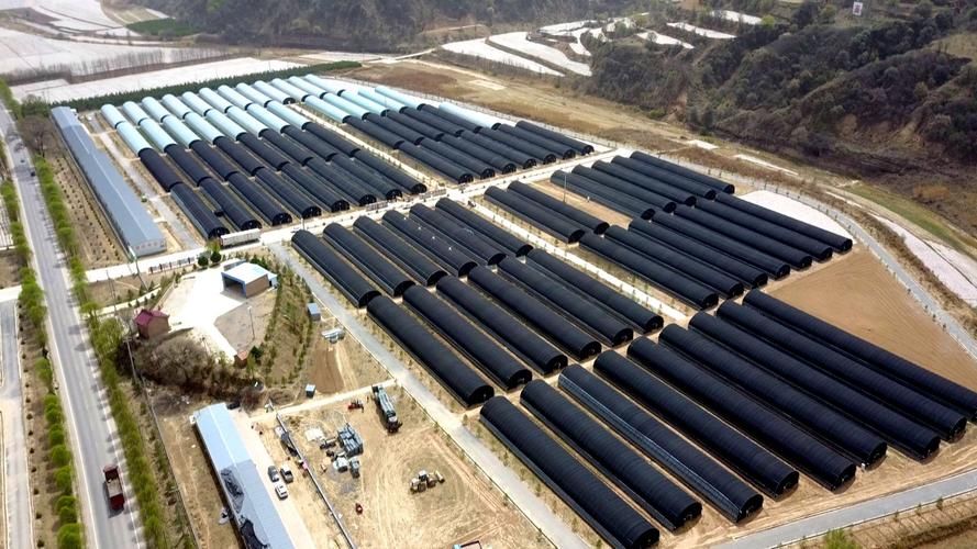 疫情防控中风险地区!甘肃庆阳华池县/甘肃庆阳市华池新闻