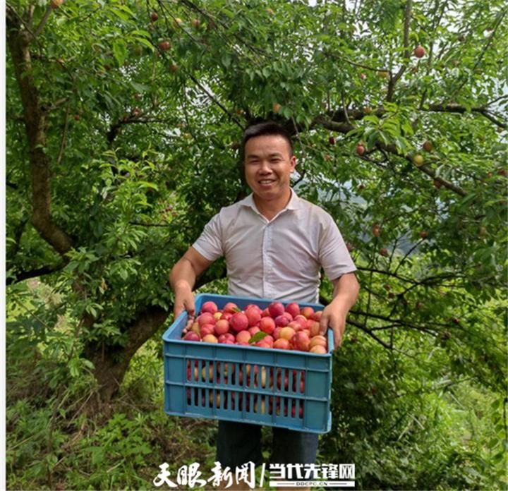  岑巩县近期无新增本土确诊:岑巩县最新新闻