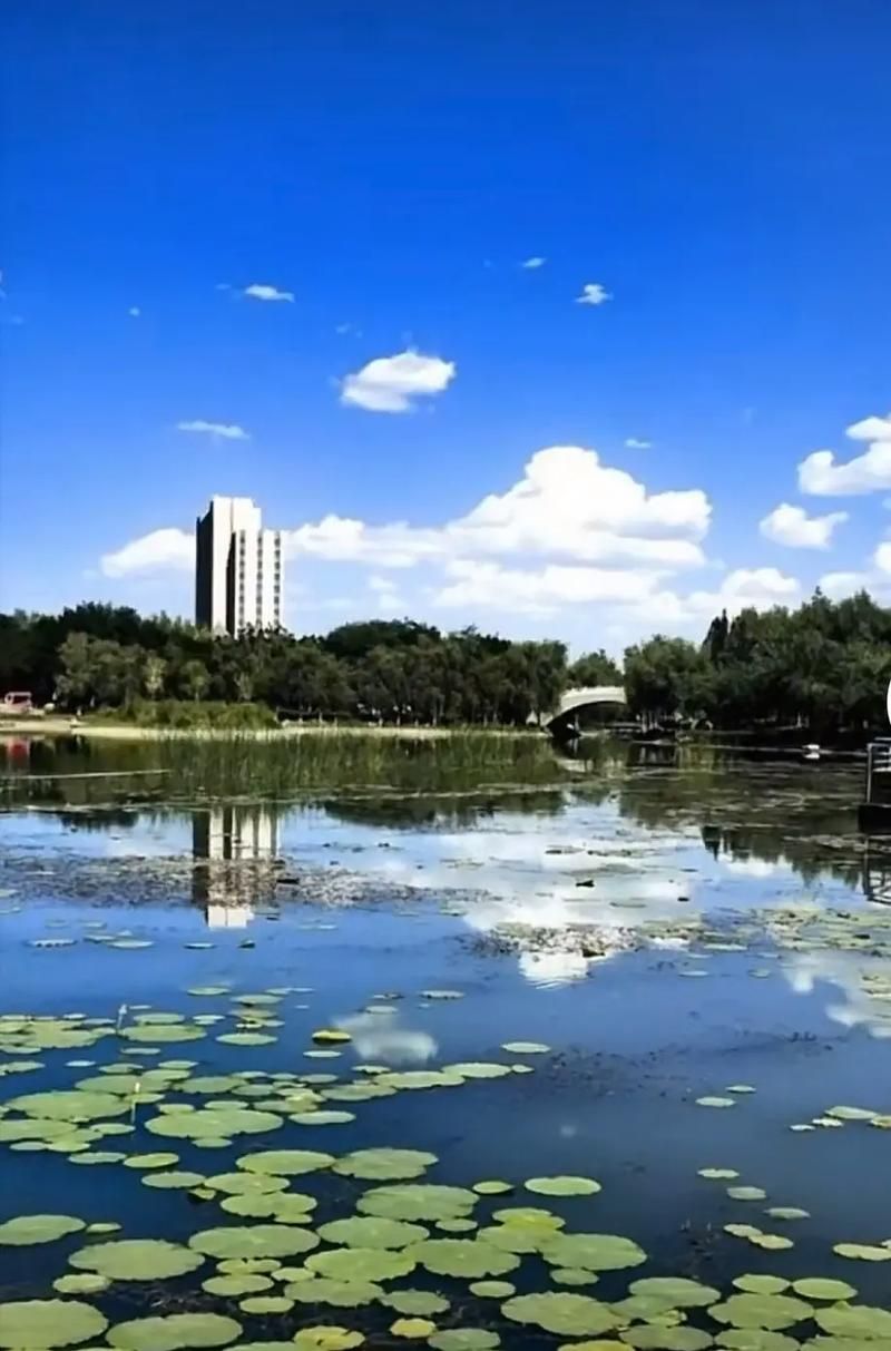 【图木舒克现有重症7例,图木舒克治安状况如何】