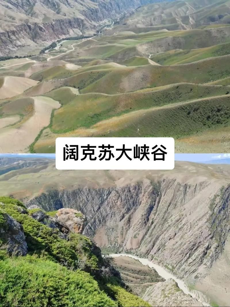【疫情最新报告新疆维吾尔自治区伊犁哈萨克自治州特克斯县新闻,新疆伊犁特克斯县是哪个市】