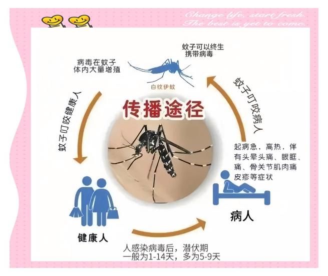 【解读疫情最新消息广东潮州,潮州疫情最新通报】