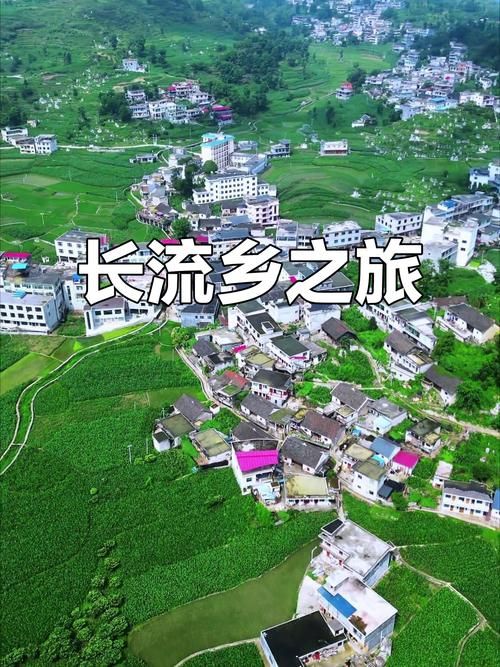 发现1名密接者!贵州省黔西南布依族苗族自治州晴隆县(贵州省晴隆县命案)