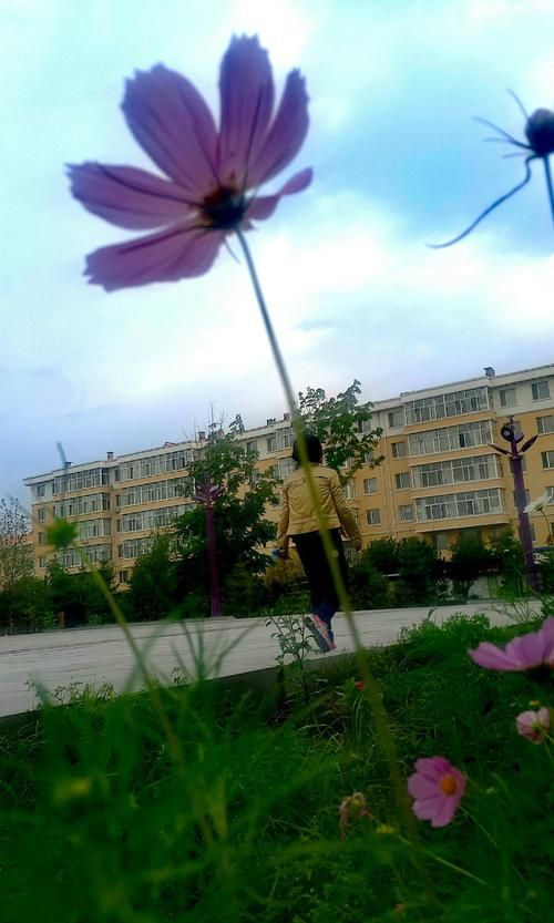 【黑龙江佳木斯桦南县什么时候可以解封_佳木斯桦南县小区地图】
