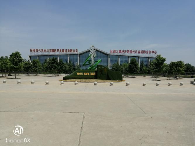 【河南省开封市禹王台区今冬无新增死亡病例_开封禹王台区最新消息】