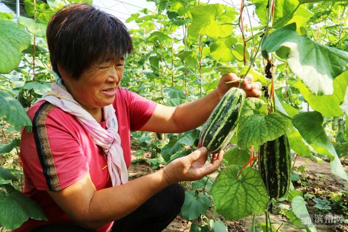 山东滨州惠民县最新通告：所有人员静默/滨州市惠民县封城
