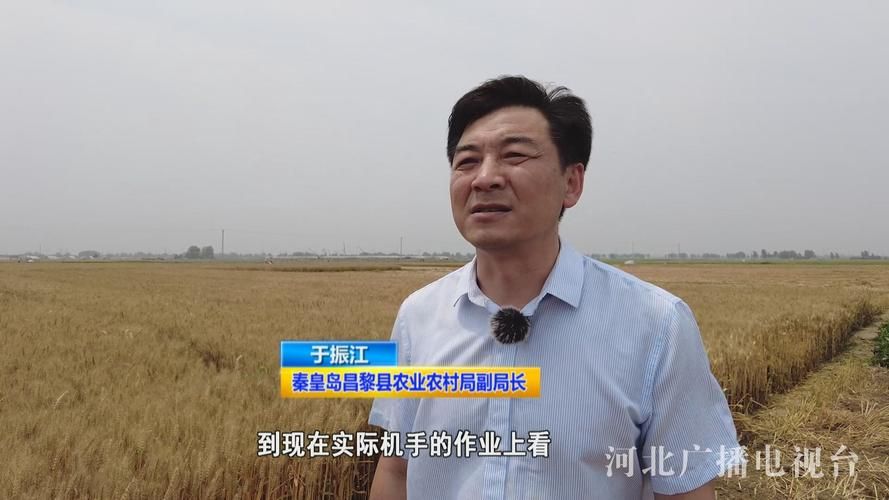 河北省秦皇岛市昌黎县新增疫情关注/河北秦皇岛昌黎疫情最新消息