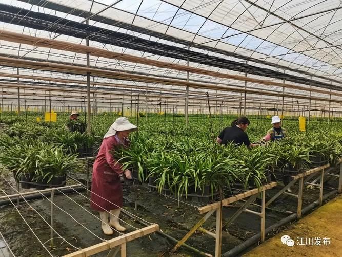 【云南玉溪江川区疫情最新实数据,云南玉溪疫情最新消息确诊19例】