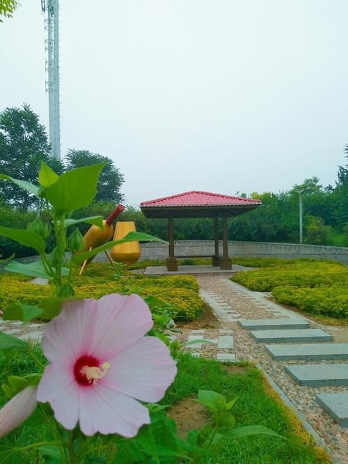  河北省秦皇岛市卢龙县算是疫情风险地区吗:秦皇岛卢龙有疫情吗