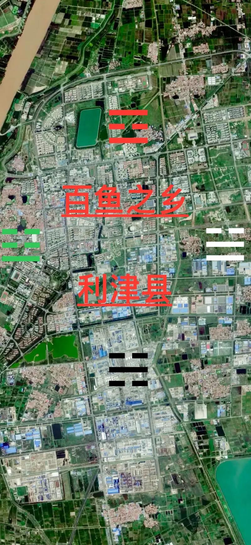 山东省东营市利津县地区有没有发现疫情/山东省东营市利津县区号是多少