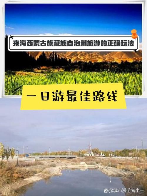 关于青海省海西蒙古族藏族自治州格尔木市近6天无症状感染者活动轨迹的信息