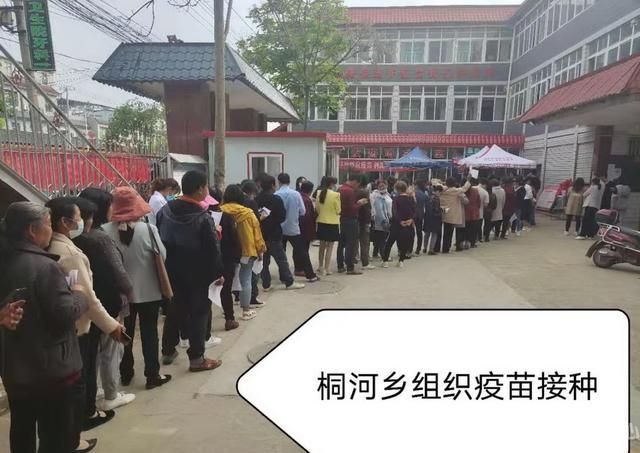 【唐河县疫情地区分布,唐河的疫情】