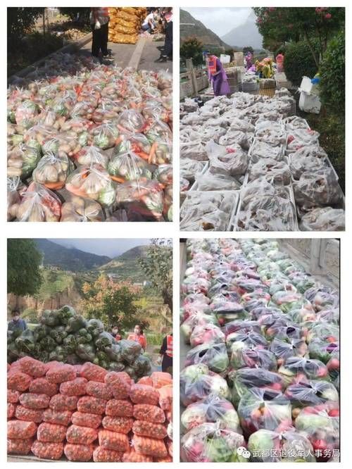 甘肃省陇南市武都区疫情最新消息/甘肃省陇南市武都区疫情情况