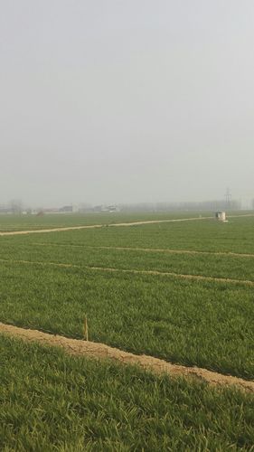 【河南濮阳南乐县地区疫情管控严不_濮阳市南乐县最近新闻】