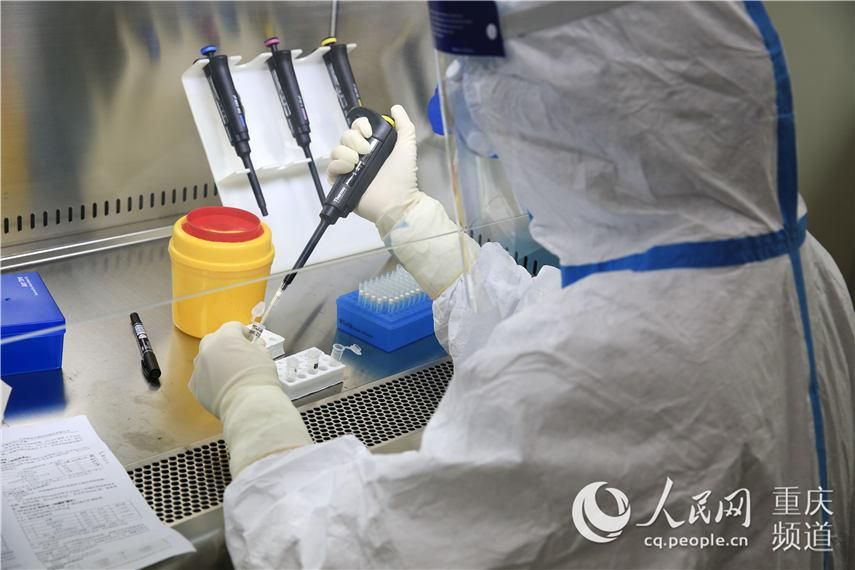 【重庆市北碚区各地区疫情等级,重庆市北碚区有新型肺炎吗】