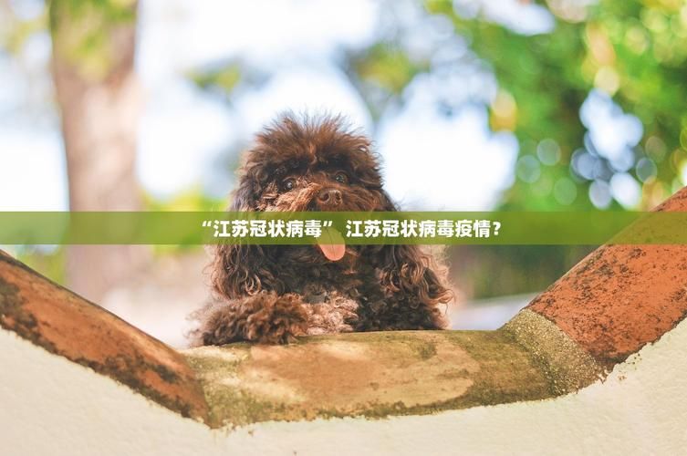 山东烟台烟台高新技术产业开发区最新疫情情况通报(烟台开发区新增4例)