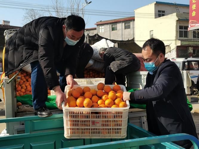 最新疫情情况通报河南省平顶山市郏县/平顶山郏县灾情