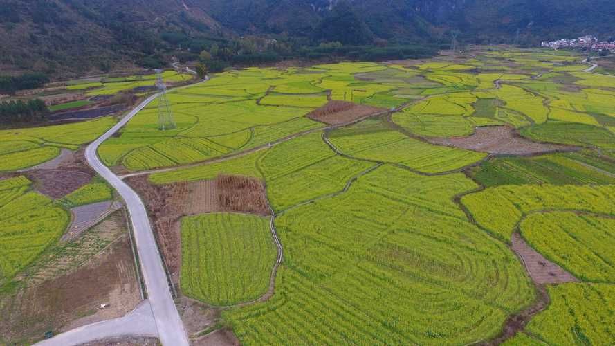 【广西壮族自治区河池金城江区境外输入已结束22地,广西河池市金城江区疫情最新消息】