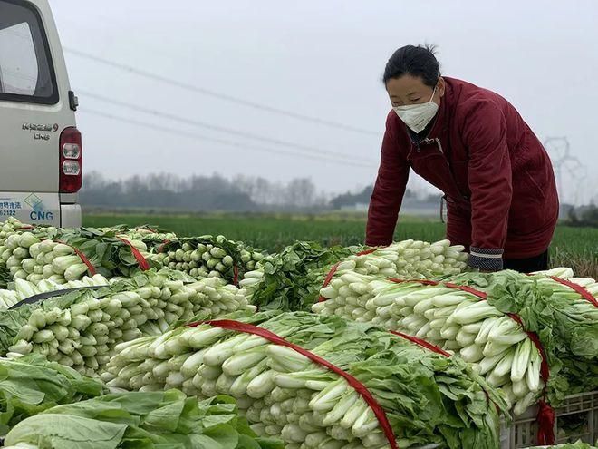 江苏南通海门区疫情视频最新/南通海门新冠病毒最新消息