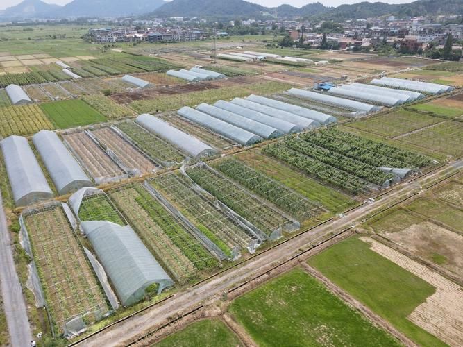 【江西省新余市渝水区疫情昨日消息最新,江西省新余市渝水区 地址列表】