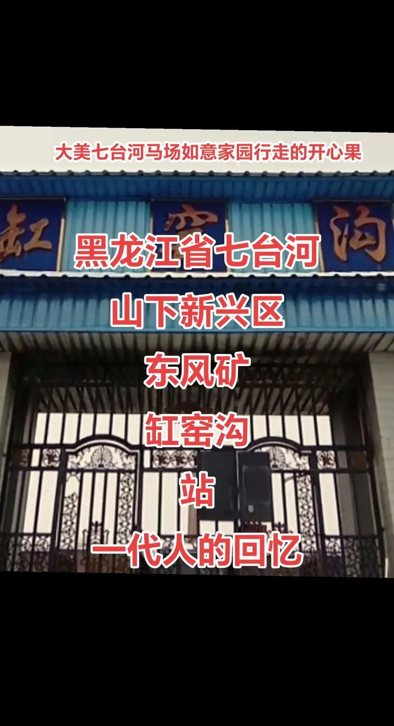 专家:黑龙江七台河新兴区每年或现多个感染高峰:黑龙江省七台河市新兴区