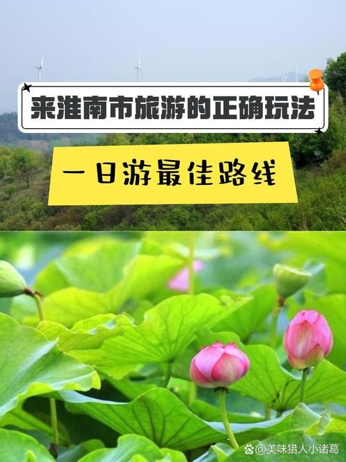  查找安徽淮南八公山区最新疫情:淮南八公山属于哪个区