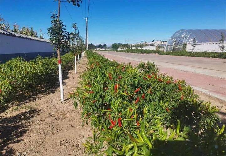 【内蒙古自治区通辽开鲁县疫情最新消息_通辽开鲁简介】