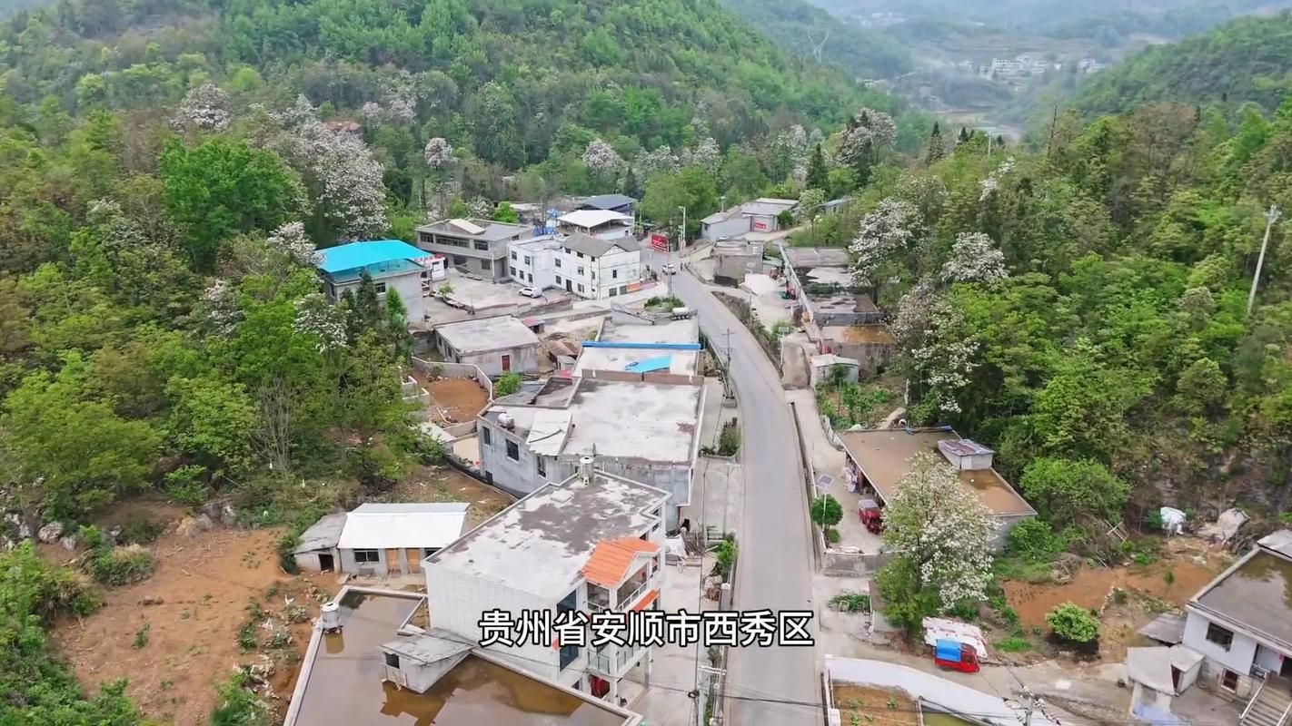 【贵州安顺镇宁布依族苗族自治县累计报告无症状感染者12例_安顺 镇宁县】