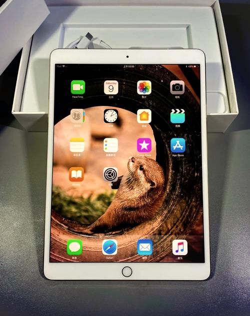 【山东滨州为何新增疫情_ipad2017上市多少钱】