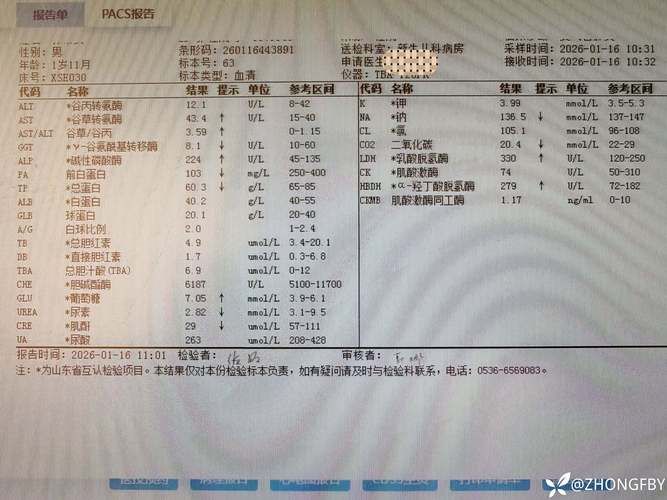 【柯城区近期新增6例重症_柯城区预报一】