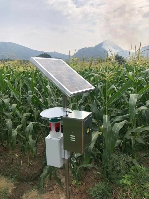  福建三明疫情视频最新:电线为什么是两根