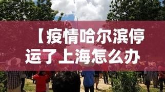  31省份今日新增27例本土确诊:小规模都是零申报吗