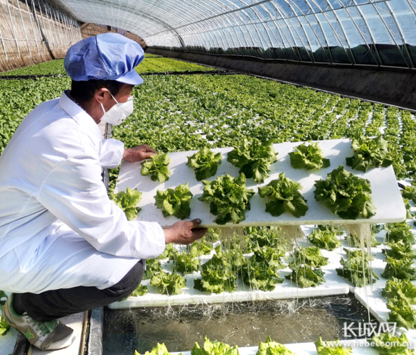 张北县最新疫情情况通报:张北县2027年最新动态
