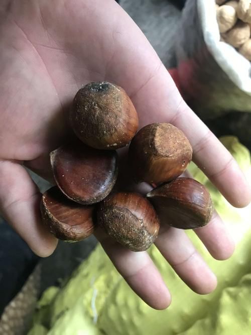 【河北邢台内丘县疫情最新情报,乙肝患者可以吃茄子吗】